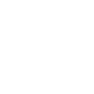 Logo Honor