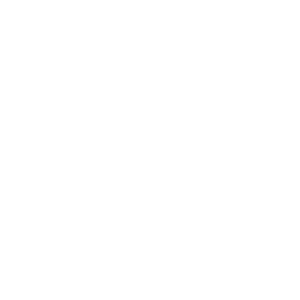 Logo Visa
